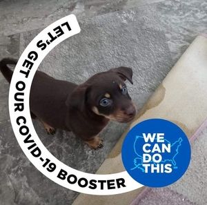 Meet your Posher, Susan